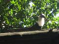 Zoo Cottbus 110
